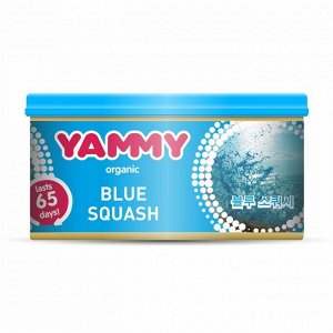 Ароматизатор на торпедо Yammy Blue Squash (Свежесть), с растительным наполнителем, баночка 42г, арт. D017