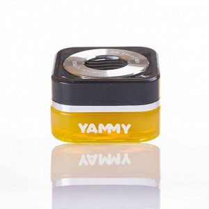 Ароматизатор на торпедо Yammy Squash (Свежесть), гелевый, флакон, арт. G013