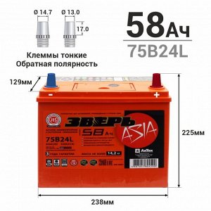 Аккумулятор Зверь ASIA 75B24L (6СТ-58LУ / ZVA 58-3-R), 58Ач, ССА 600А, необслуживаемый