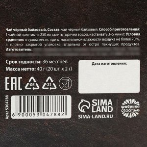 Чай подарочный «Запас мужика», 20 фильтр-пакетов, 40 г.