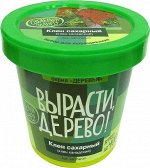 Набор для выращивания &quot;Клён сахарный&quot;