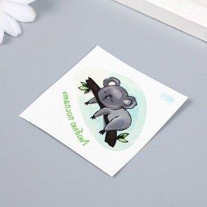 Татуировка на тело цветная "Коала на ветке - Люблю поспать" 6х6 см