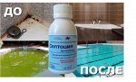 Септоцил: уберёт грибок, плесень и очистит бассейн