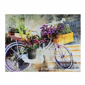 Картина на холсте "Цветочный велосипед" 30х40 см