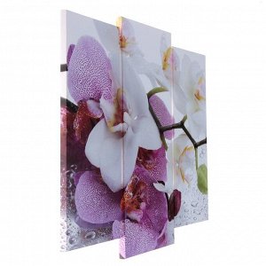 Модульная картина "Краповая орхидея"  (2-25х52; 1-30х60) 60х80 см