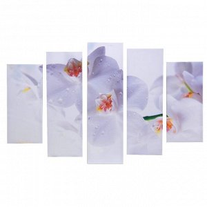 Модульная картина на подрамнике "Белые орхидеи", 2 — 53?16, 2 — 70?24, 1 — 80?3, 120?80 см