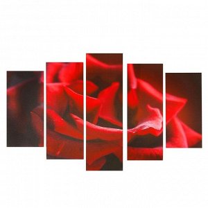 Картина модульная на подрамнике "Алая роза" 2-25х52, 2-25х66,5, 1-25х80, 80*140 см