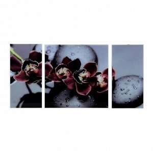 Картина модульная на стекле "Черная Орхидея" 2-25*50, 1-50*50 см,  100*50 см