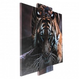 СИМА-ЛЕНД Модульная картина &quot;Тигровый взгляд&quot;  (2-25х52; 1-30х60) 60х80 см