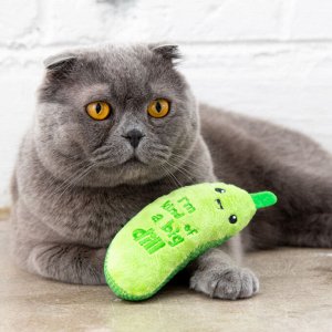 Игрушка Catstages Dental для кошек "Огурец Крутыш" c кошачьей мятой 15 см