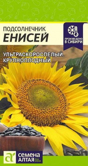 Подсолнечник Енисей/Сем Алт/цп 10 гр.