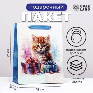 Пакет ламинированный вертикальный «Котенок», 18x23x10 см