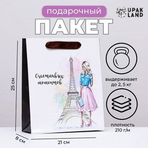 Пакет ламинированный вертикальный «Романтика Парижа», 21x25x8 см