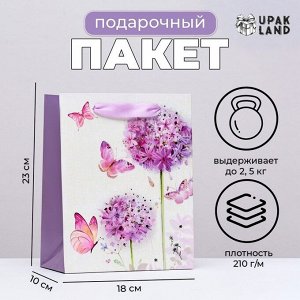 Пакет ламинированный вертикальный «Цветочные шары», 18x23x10 см