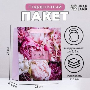Пакет ламинированный вертикальный PRESENT, 23x27x11.5 см