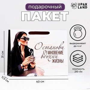 Пакет ламинированный "Останови мгновение", 31 х 40 х 11,5 см