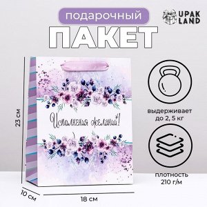 Пакет ламинированный вертикальный «Исполнения желаний», 18x23x10 см