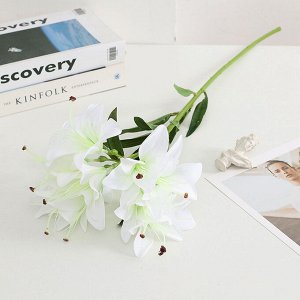 Ветка лилии