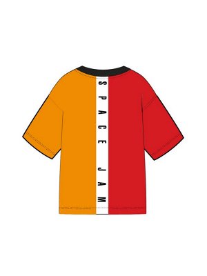 Фуфайка трикотажная для мальчиков (футболка) разноцветный