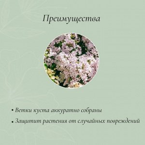 Кустодержатель для цветов, d=30 см, h=120(±5) см, ножка d=1 см, металл, зелёный