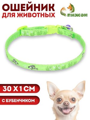 Ошейник "Лето" с бубенчиком, 30 х 1 см, капрон, салатовый