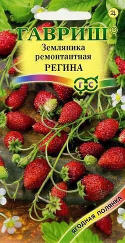 Земляника Регина ЦВ/П (ГАВРИШ) 0,03гр ремонтантный безусый