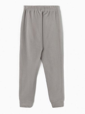 Брюки флисовые мужские спортивные MINAKU: Fleece Soft, серые