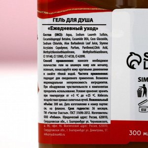 Подарочный набор «Сладкие моменты»: гель для душа 300 мл и бомбочки для ванны 4 шт., Чистое счастье
