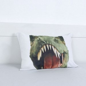 Постельное бельё "Этель" 1,5 сп Green Dino (вид 3) 143х215см, 150х214см, 50х70см1 шт, 100% хл, бязь