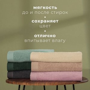 Набор махровых полотенец LoveLife "Natural eucalyptus" 3 шт: 70х130,50х80,30х50см хл100%