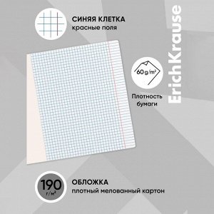 Тетрадь 48 листов в клетку, ErichKrause "Энциклопедия: Минералы", обложка мелованный картон, блок офсет 100% белизна, МИКС