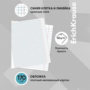Набор предметных тетрадей 36 листов, ErichKrause Timeline, 12 шт.