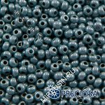Бисер 33025 Чешский Preciosa 10/0