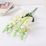 Букет гладиолусов