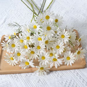 Baizheng Household Уссурийск Ветка ромашек