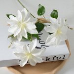 Ветка клематисов