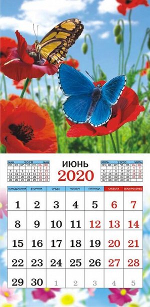 Перекидной СРЕДНИЙ календарь на скрепке на 2020 год "Бабочки"