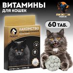 Лакомство для кошек &quot;Пижон&quot; против линьки, мультивитаминное, 60 таб