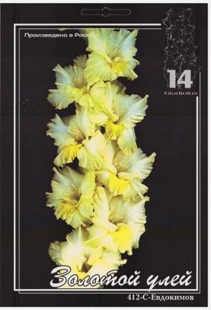 Гладиолус Золотой Улей (Код: 7139)