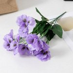 Букет анютиных глазок