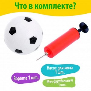 Ворота футбольные «Начинающий футболист», в наборе мяч и насос, 44 x 31 см