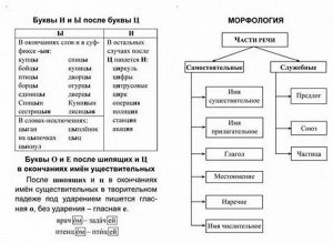Русский язык
