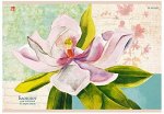 Восхитительный цветок (акварель) АЛЬБОМЫ ДЛЯ РИСОВАНИЯ (*скрепка). 12 листов____ЦЕНА за 5 АЛЬБОМОВ____
