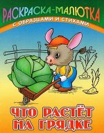 Раскраска-Малютка.Что Растет На Грядке С Образцами И Стихами 985-17-0729-0 10стр., 140х107х1мм, Мягкая обложка