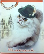 Тетрадь предметная клетка 42л. Животные.Немецкий язык 35585