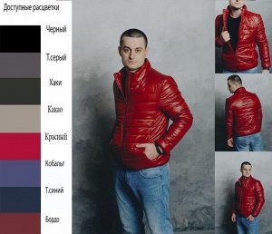 Куртка мужская "Рельефная-Спринг"
