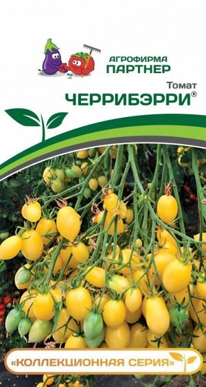 Томат Черрибэрри / Сорт томата