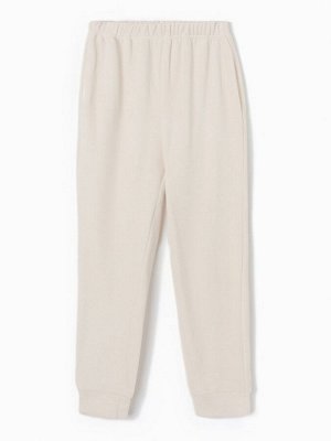 Брюки флисовые мужские спортивные MINAKU: Fleece Soft, бежевые