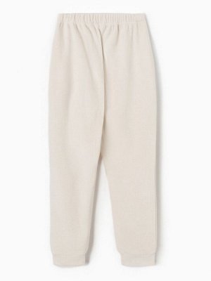 Брюки флисовые мужские спортивные MINAKU: Fleece Soft, бежевые
