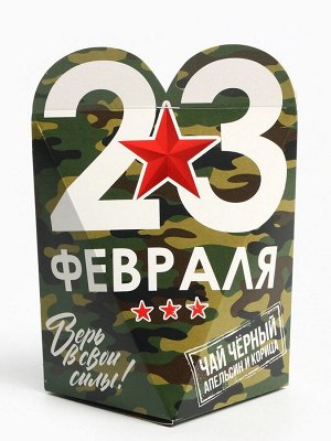 Чай подарочный «23 февраля», вкус: апельсин и корица, 50 г